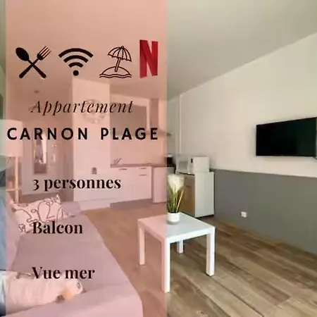 *Les Voiliers, Studio, Vue Sur Mer, Wifi, Parking* Mauguio Extérieur photo