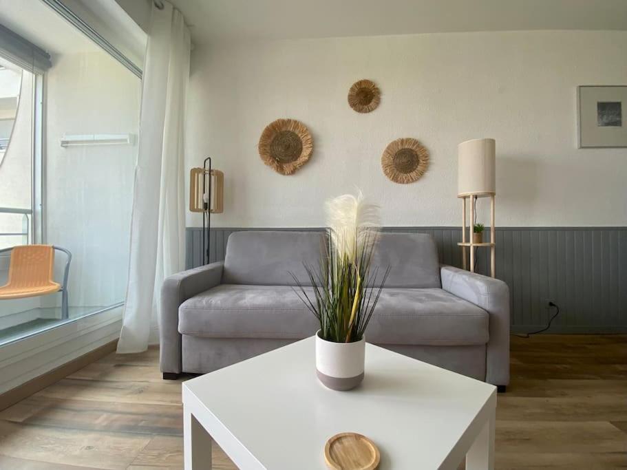 Appartement *les Voiliers, Studio, Vue Sur Mer, Wifi, Parking* Mauguio
